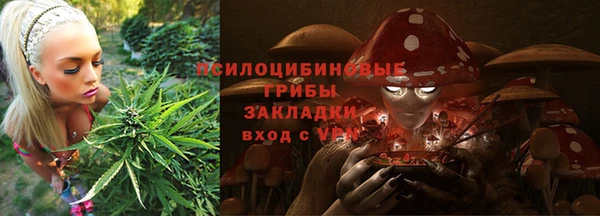 амф Нефтегорск