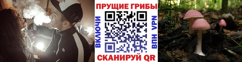 Галлюциногенные грибы Magic Shrooms цена наркотик Поворино